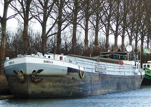 px_Daniella_compleet