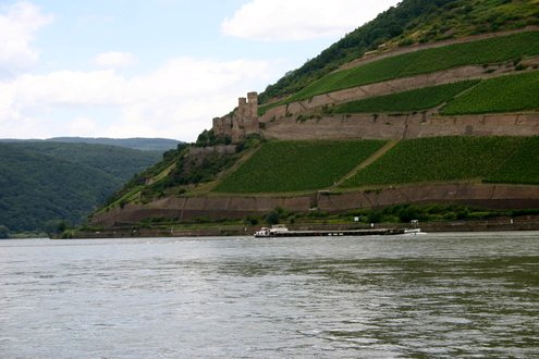 bingen